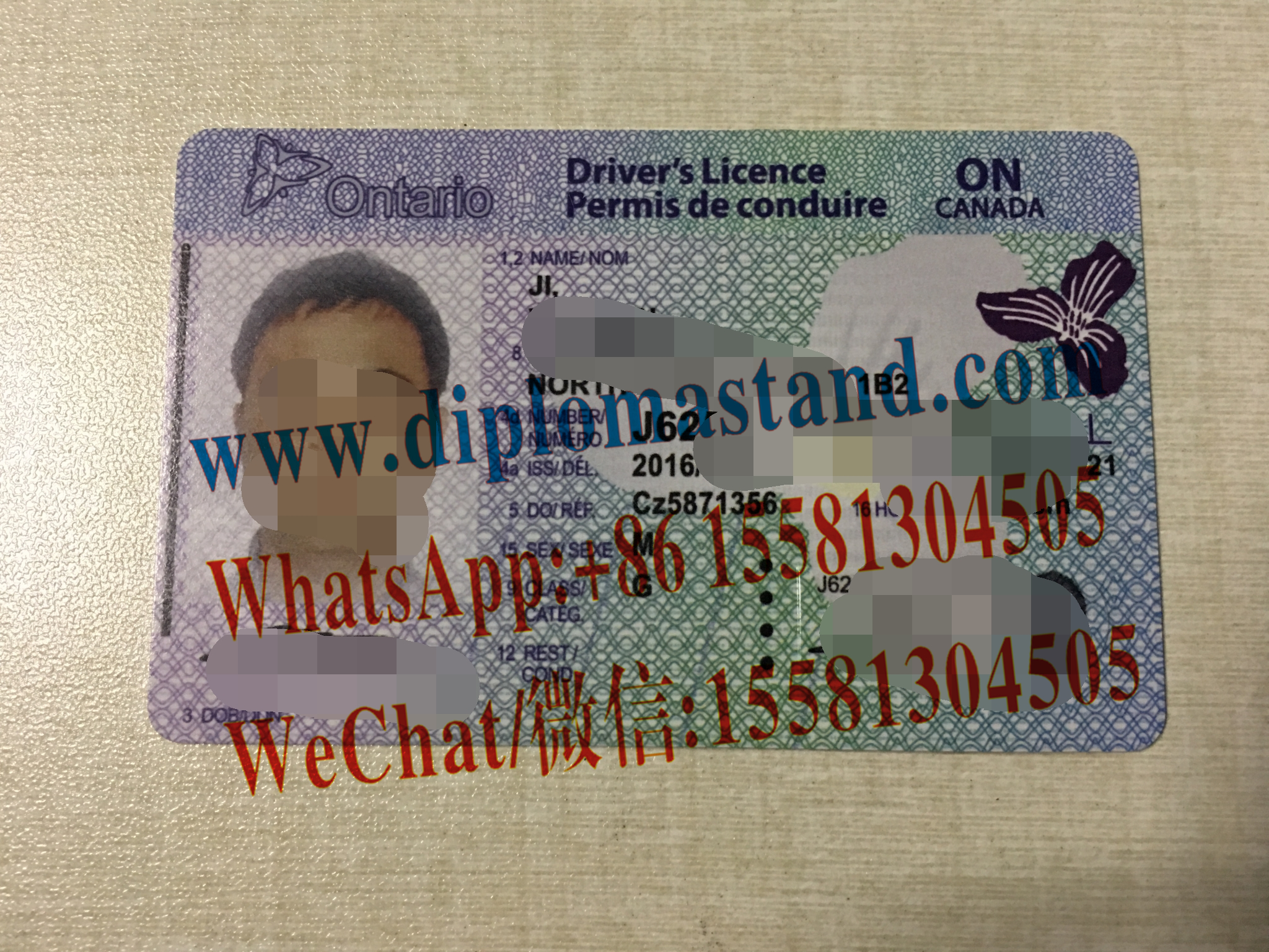 Buy Drivers license in Ontario Online