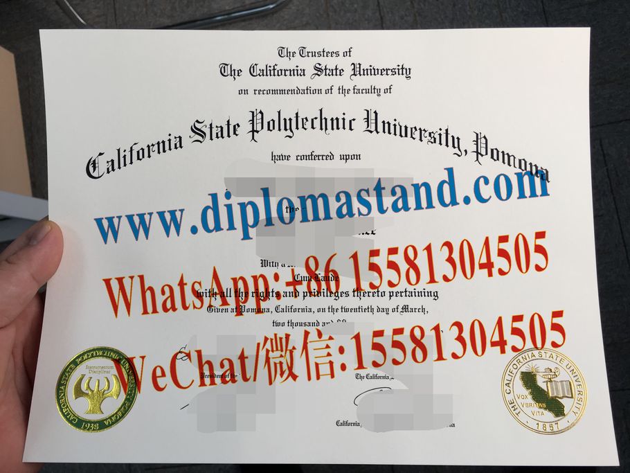 Buy fake California State University System Diploma