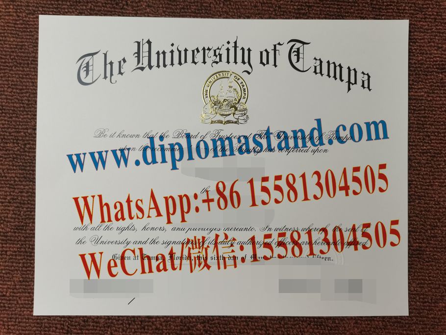 Buy fake University of Tampa Diploma