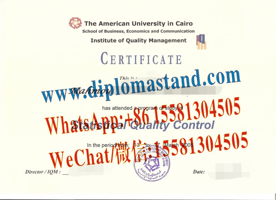 Fake Cairo University Diploma Makers