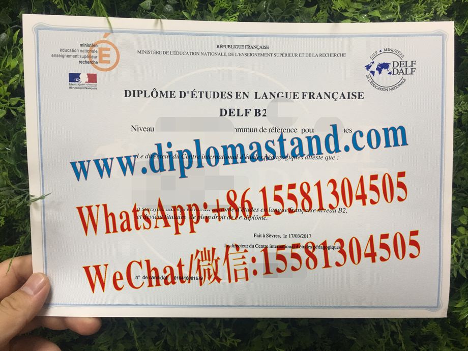 Fake DELF DALF – French Institute Alliance Francaise (FIAF) Certificate