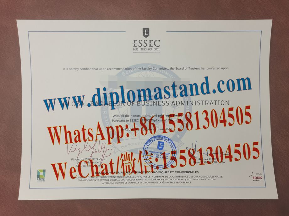 Fake ESSEC Diploma Transcript