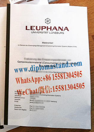 Fake Leuphana University of Lüneburg Diploma Certificate