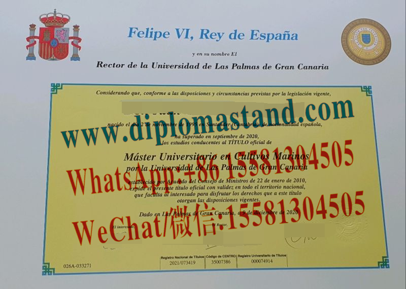 Fake Municipality of Las Palmas Diploma Degree