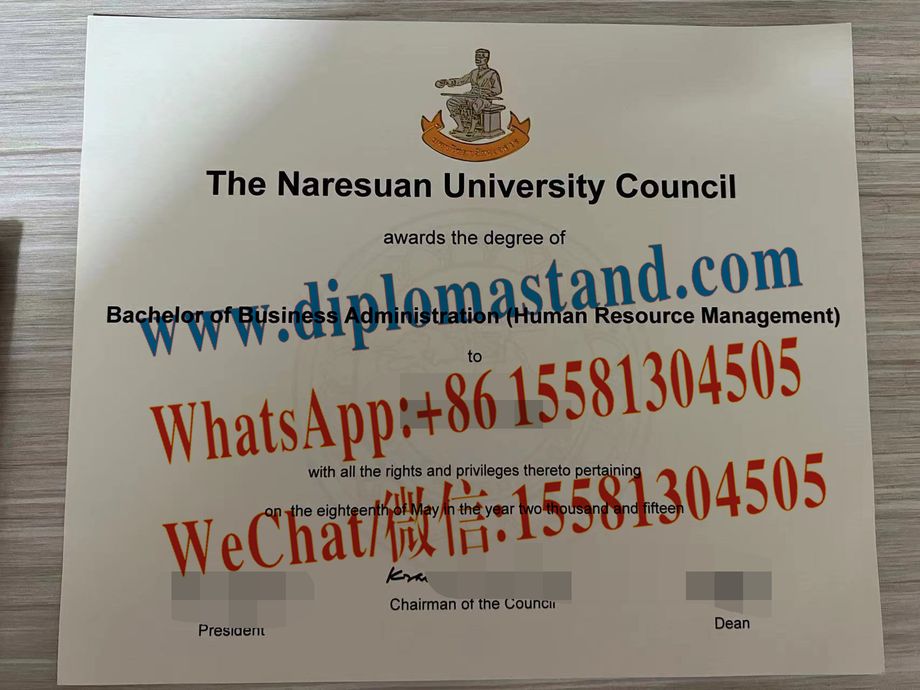 Fake Naresuan University Council Diploma Makers