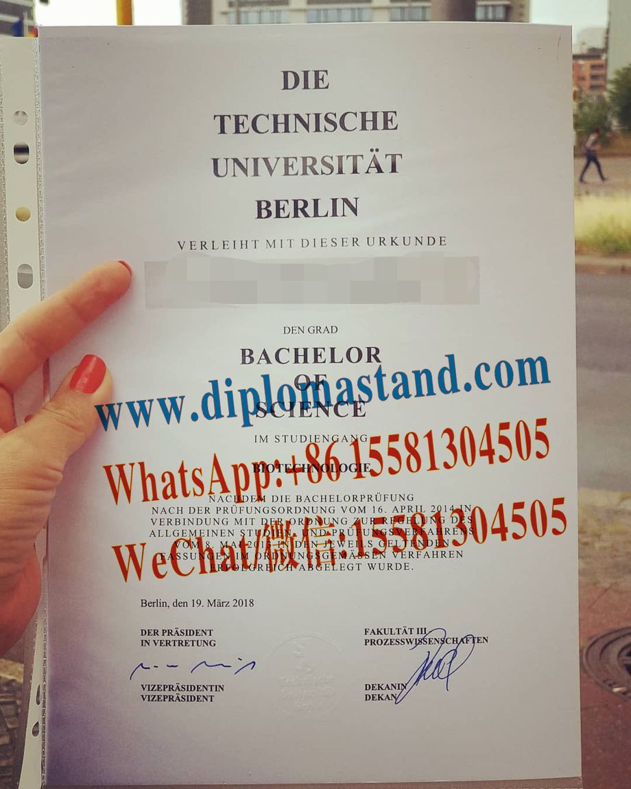 Fake Technical University Berlin Diploma Certificate