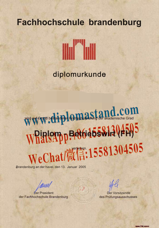 Fake Technical University Brandenburg Diploma Certificate