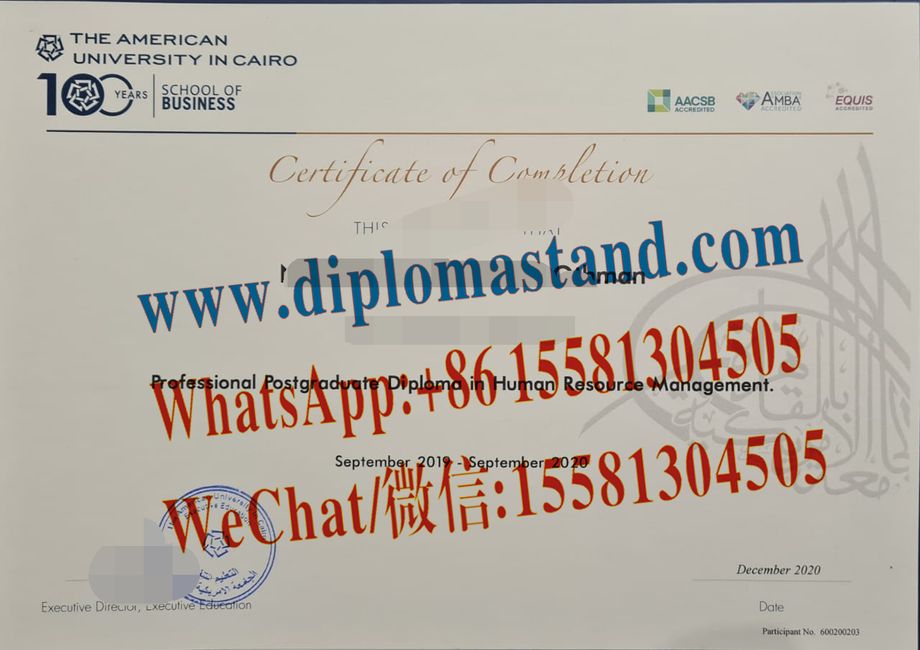 Fake The American University in Cairo Diploma Makers