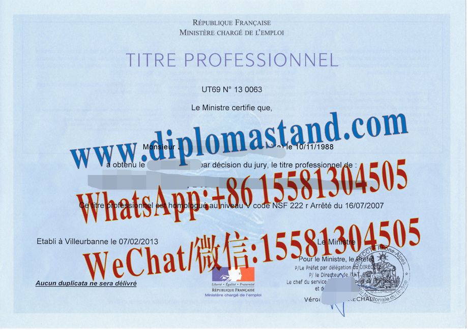 Fake Titres professionnels Certificate