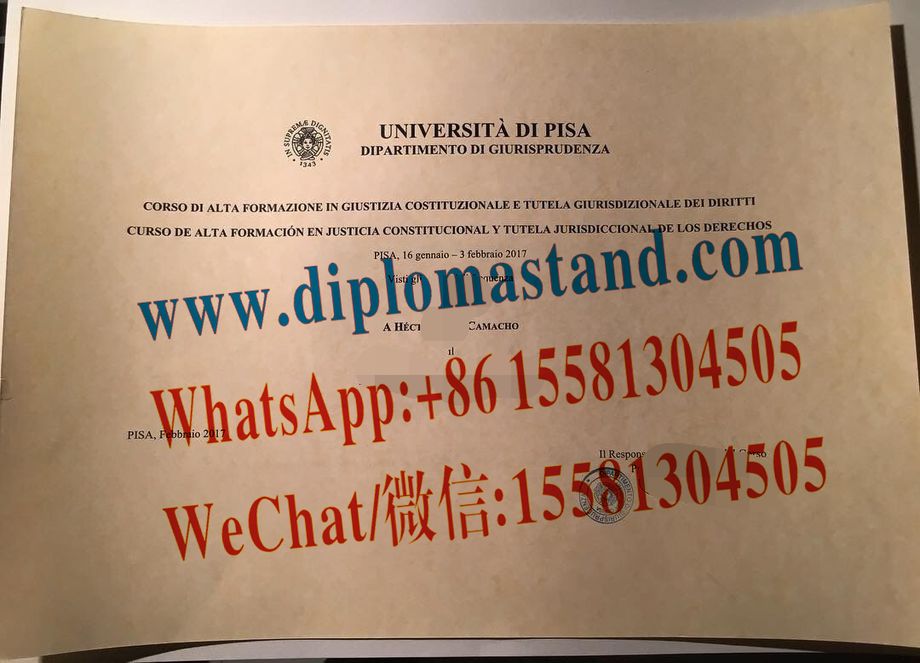 Fake University of Pisa Diploma Degree