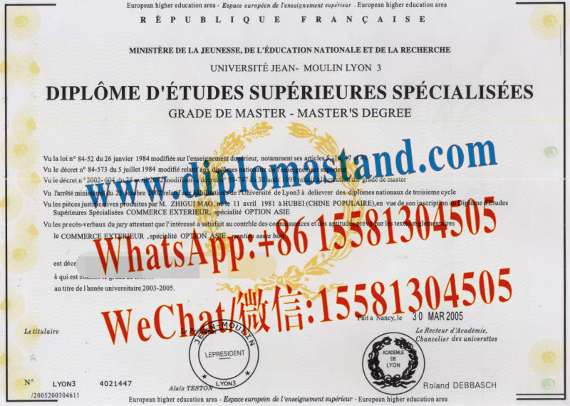 Fake Université Jean Moulin Lyon 3 Diploma Transcript