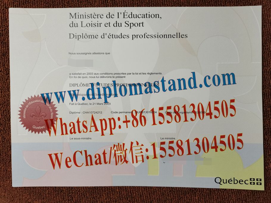 Make Fake DVSDEP Diploma