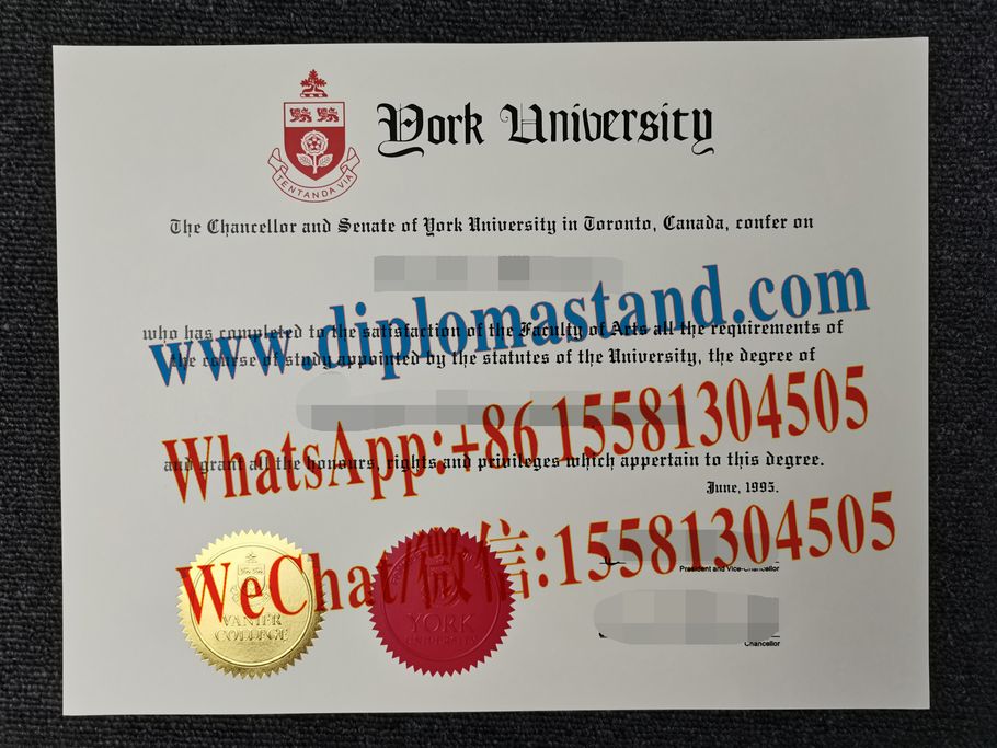 Make Fake University of York Diploma